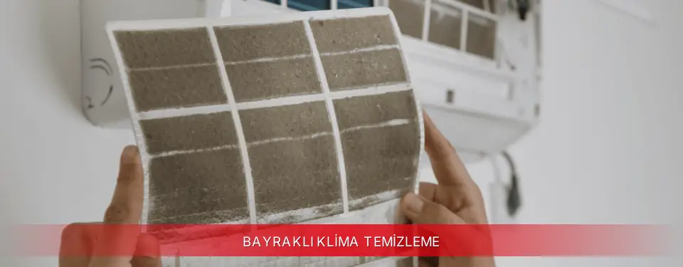 Bayraklı İlçemi Viessmann Klima Temizleme